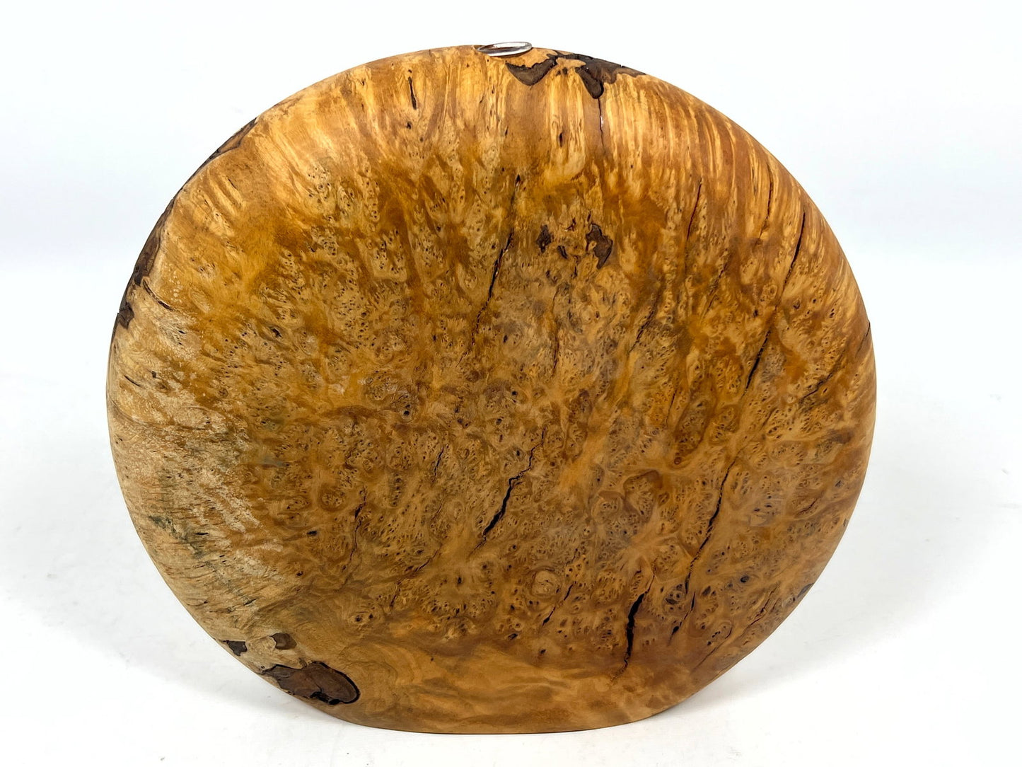 Artisan Burl Wood Disk Vase - Craig Lossing