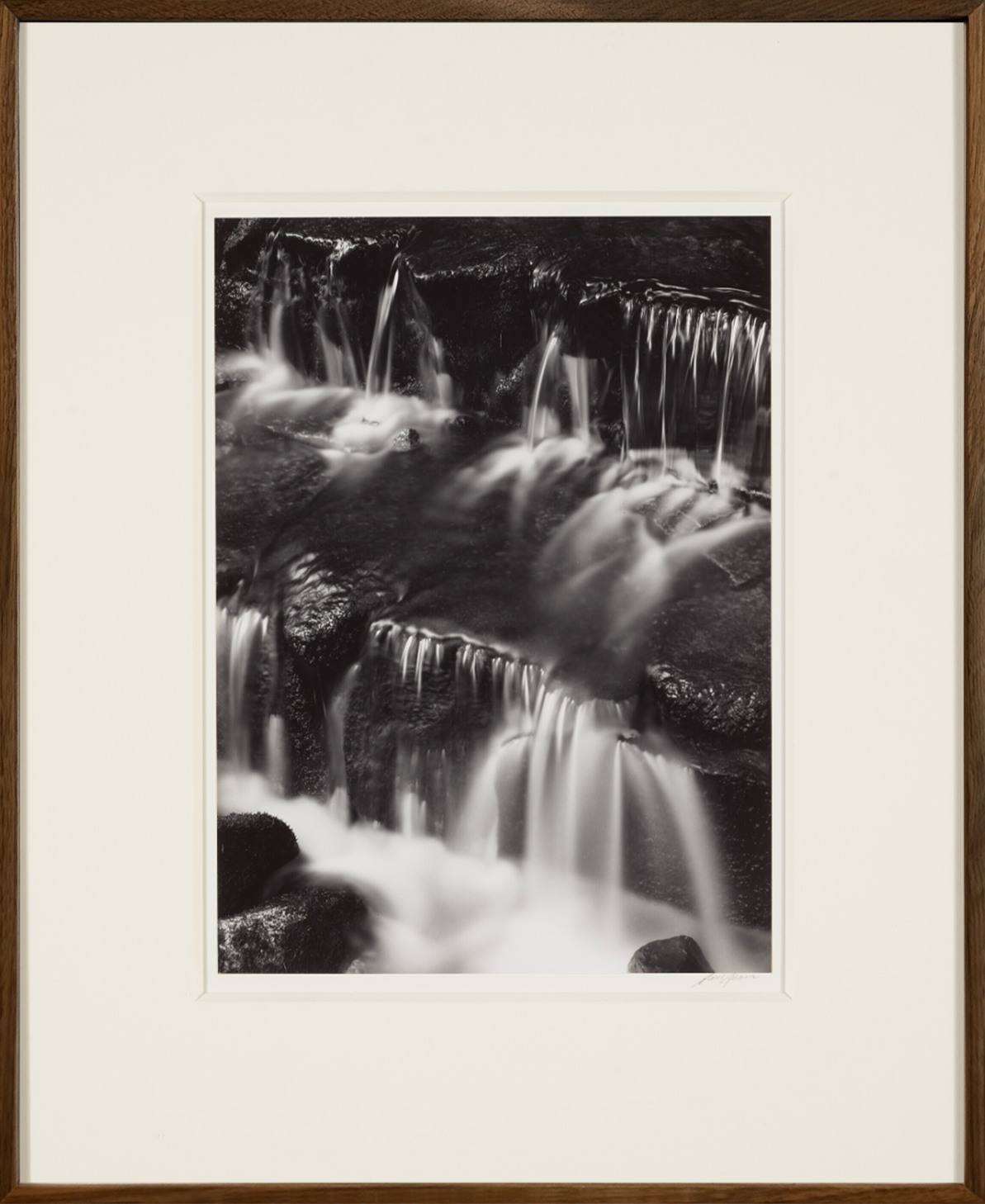 Fern Spring, Dusk, Yosemite Valley, California, Ansel Adams