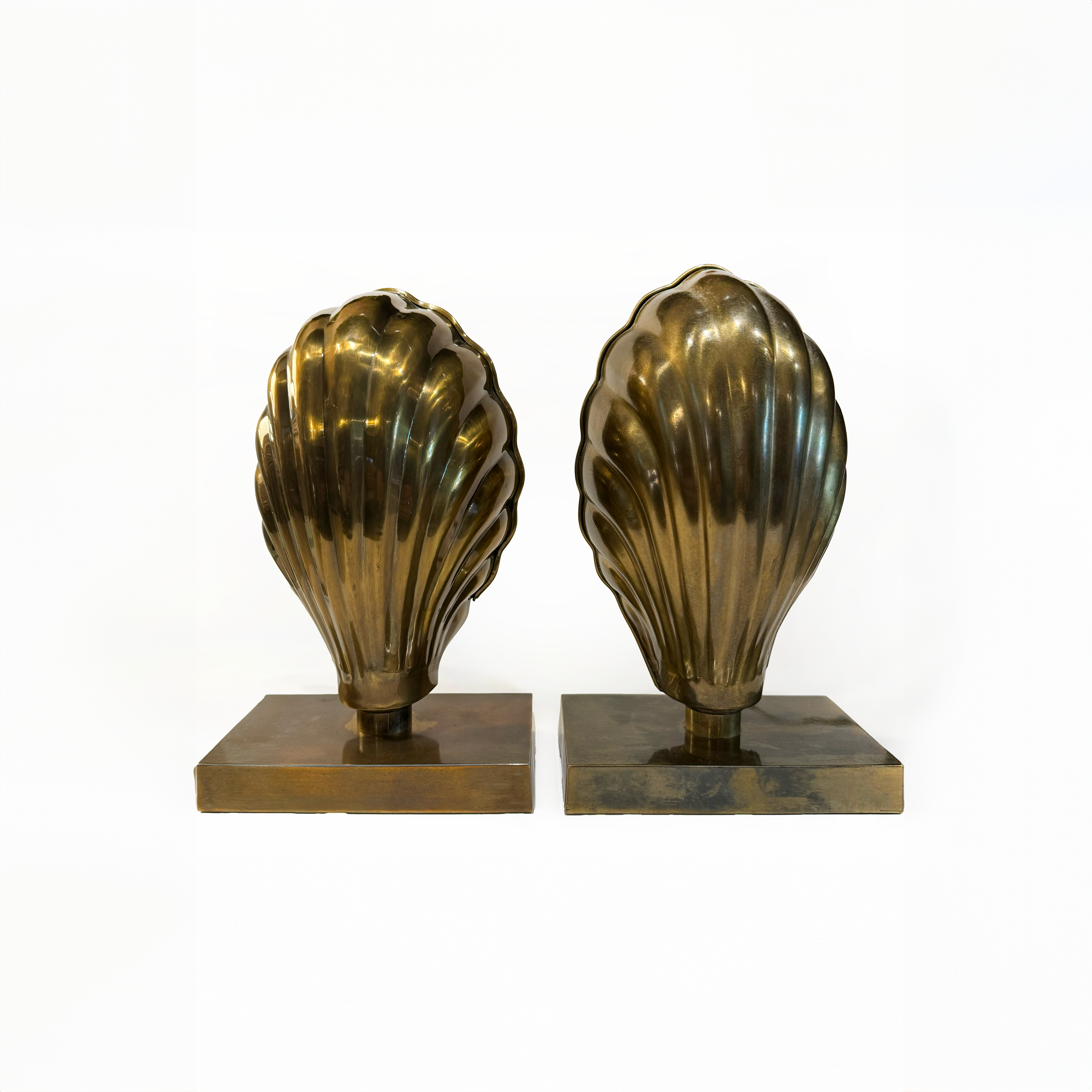 Brass Shell Table Lamps - Pair