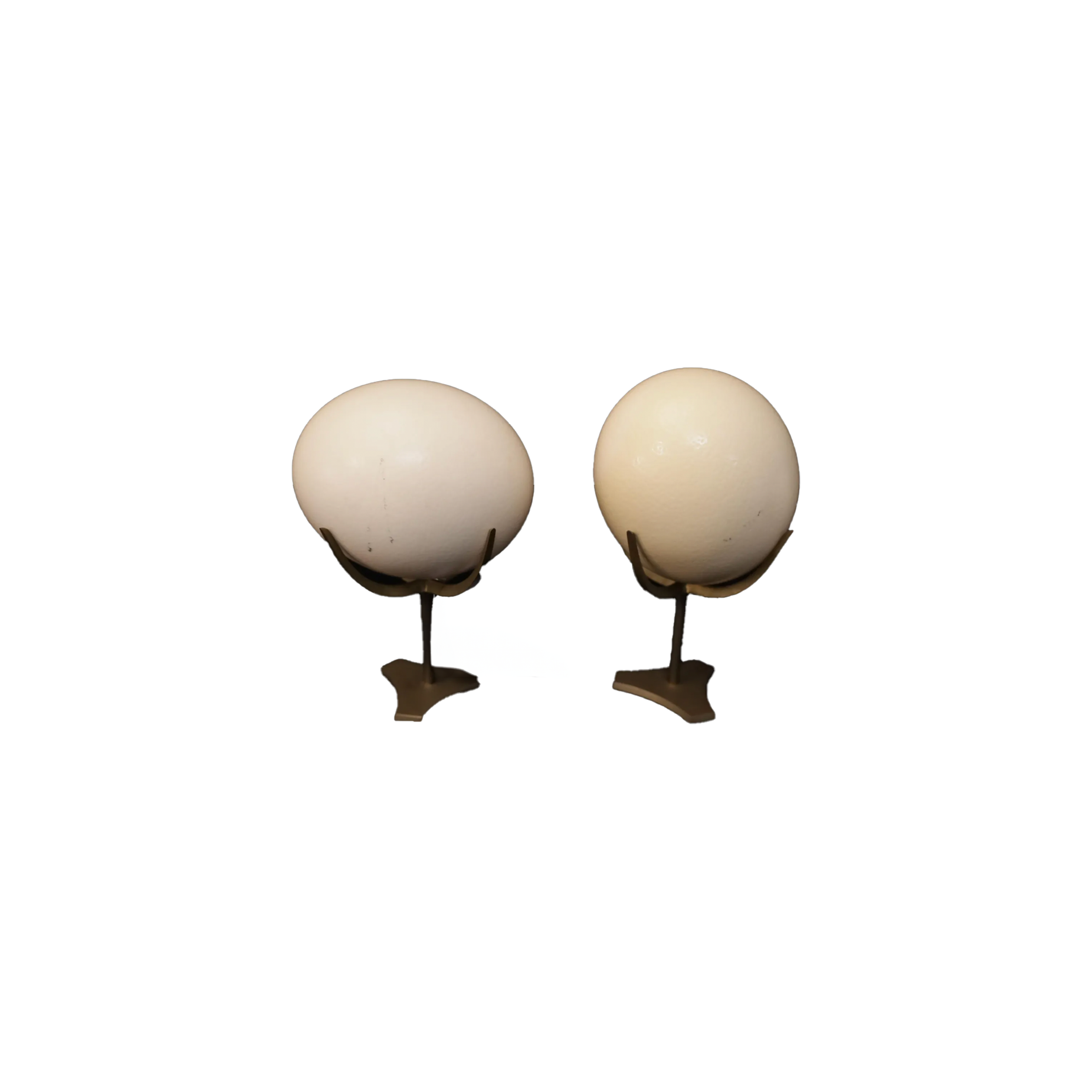 Ostrich Eggs with Brass Display Stands - Pair